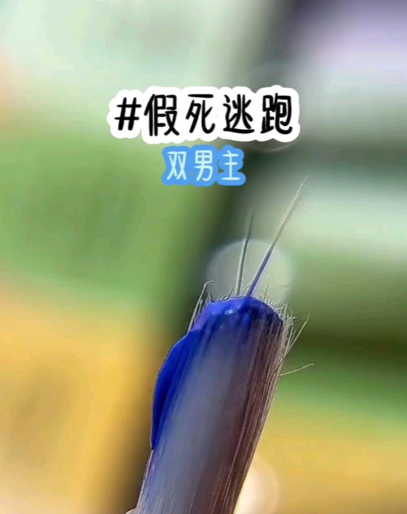 茗《假死逃跑》小说推荐哔哩哔哩bilibili