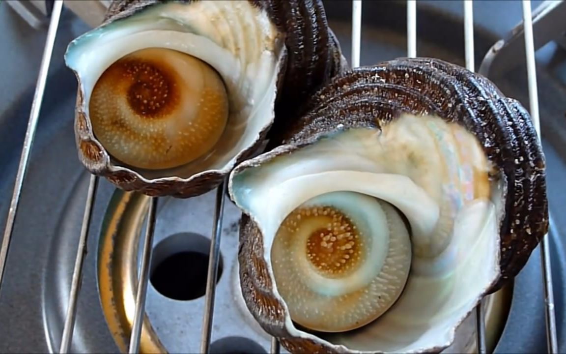 在日本超火的一款海鲜,据说是叫做荣螺