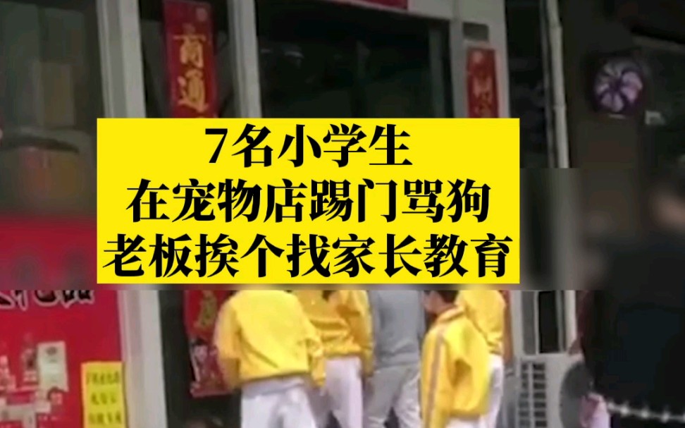 7名小学生宠物店踢门骂狗,老板挨个上门找家长教育!哔哩哔哩bilibili