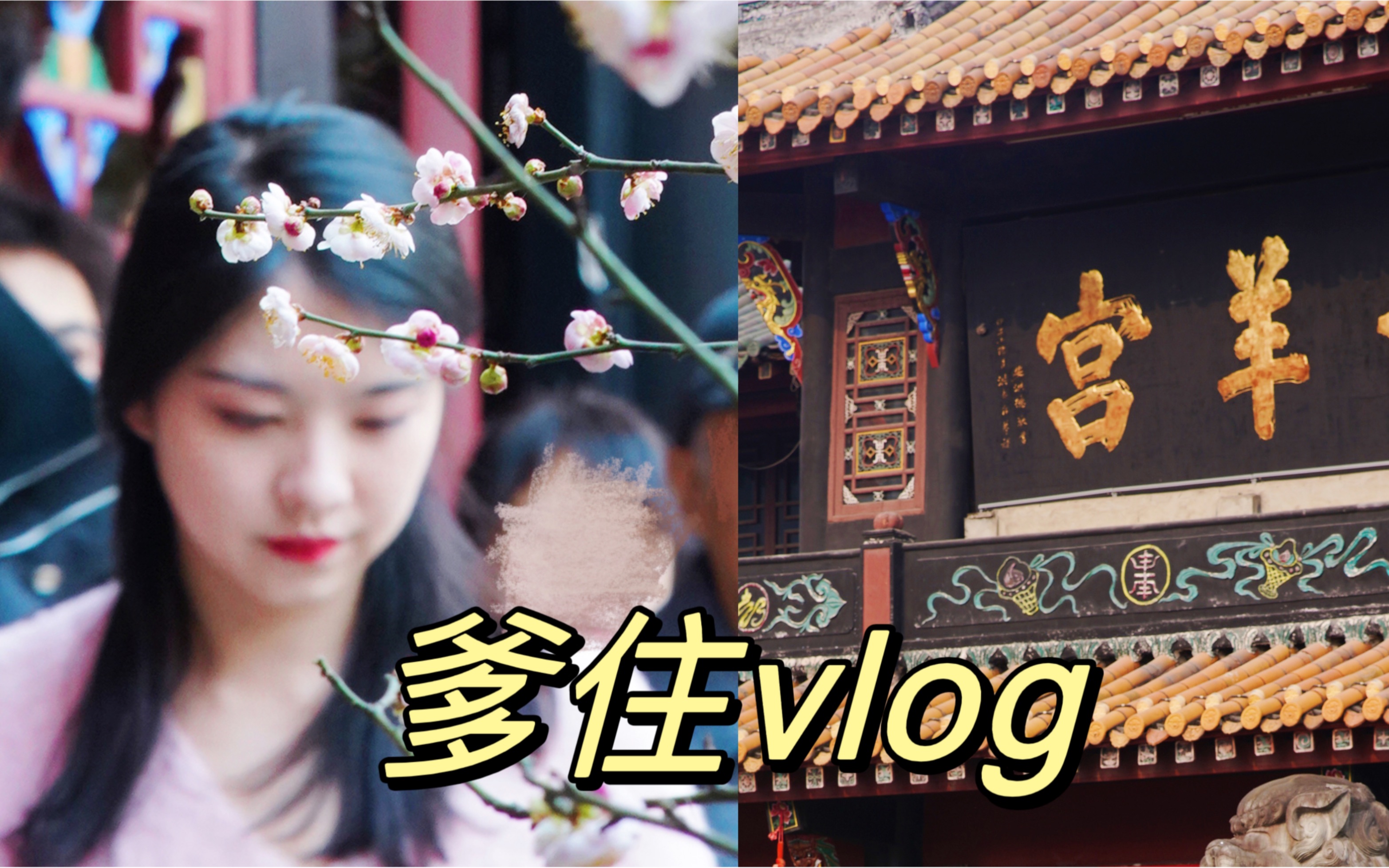 爹住Vlog|青羊宫的粉梅花哔哩哔哩bilibili