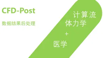 血流动力学计算后处理-CFD POST+MATLAB APP