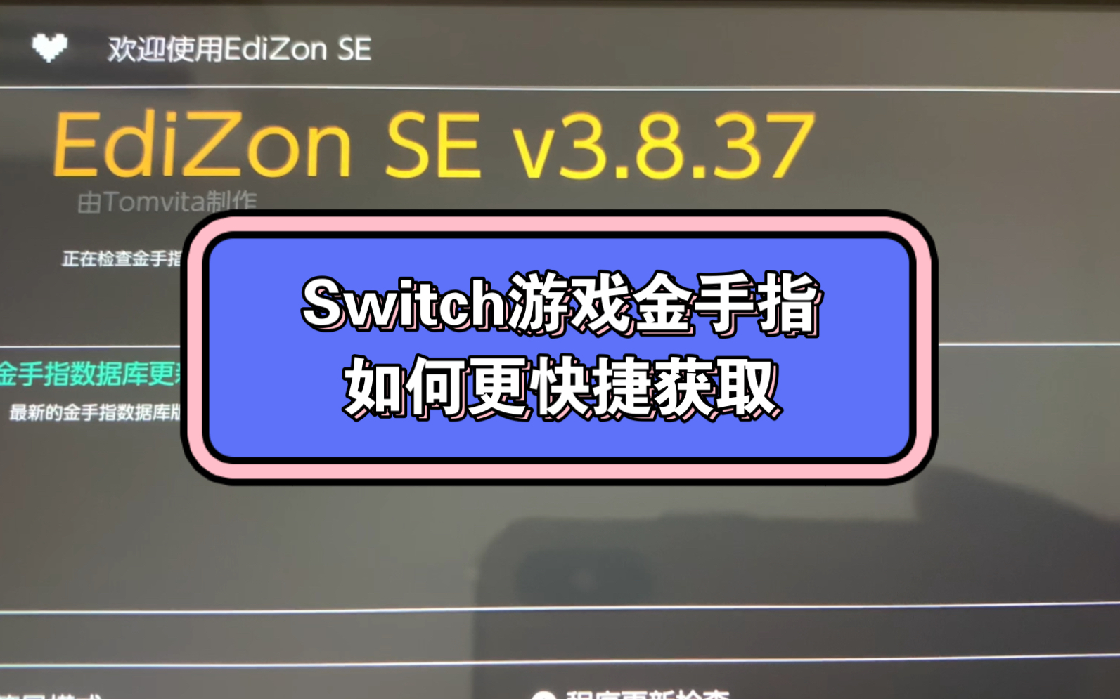 Switch如何优雅的使用金手指,游戏有了,工具有了,就差人去玩了哔哩哔哩bilibili