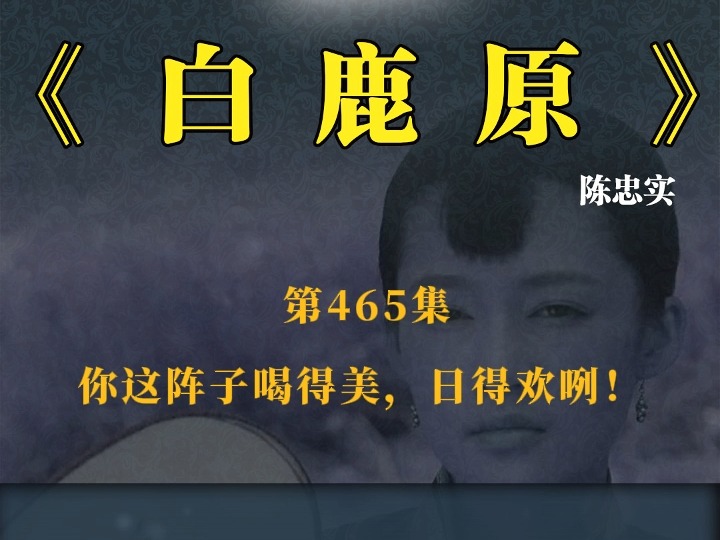 《白鹿原》 第465集 你这阵子喝得美,日得欢咧!哔哩哔哩bilibili