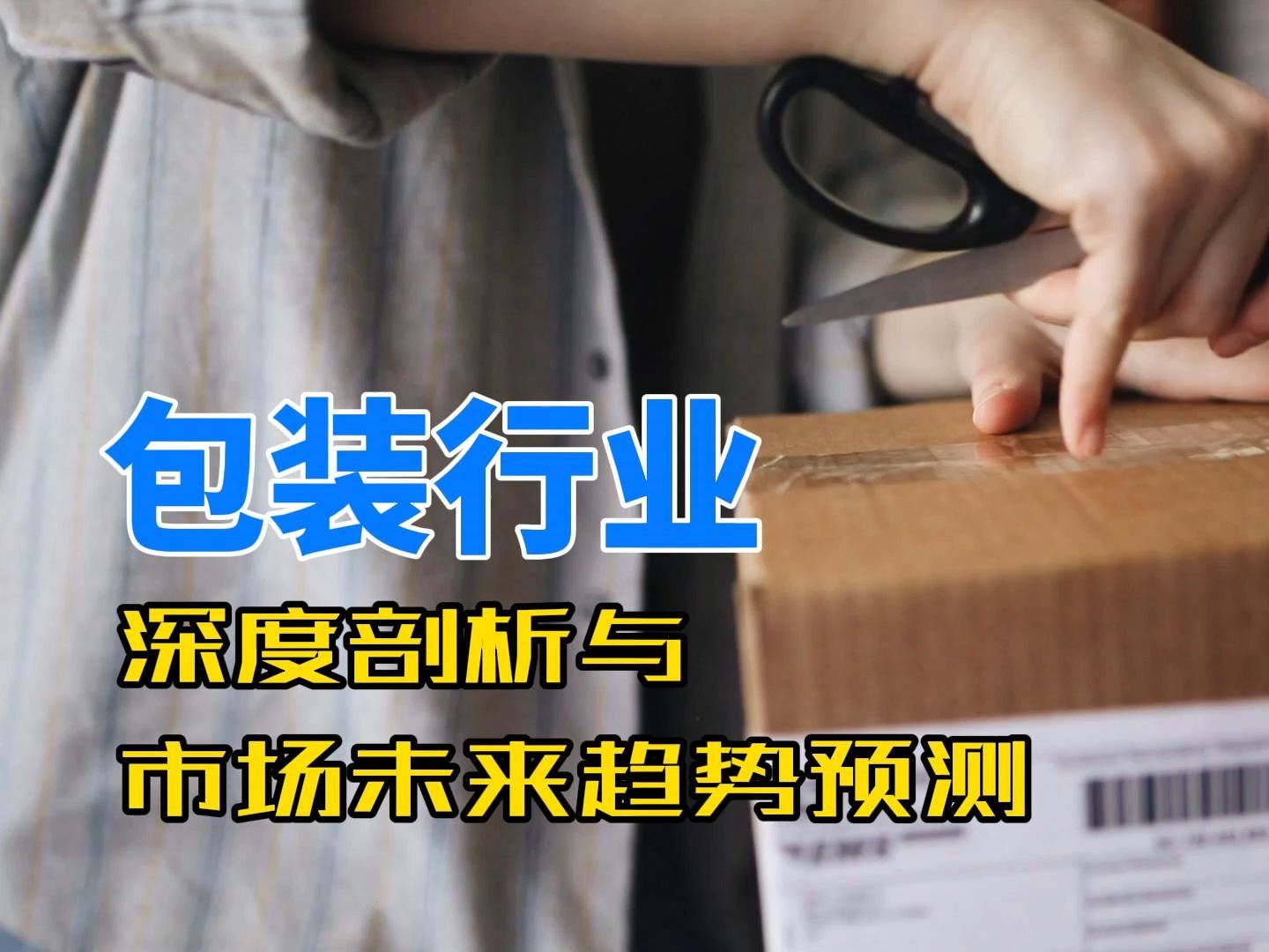 【3分钟看懂一个行业】包装行业行业深度剖析与市场未来趋势预测哔哩哔哩bilibili