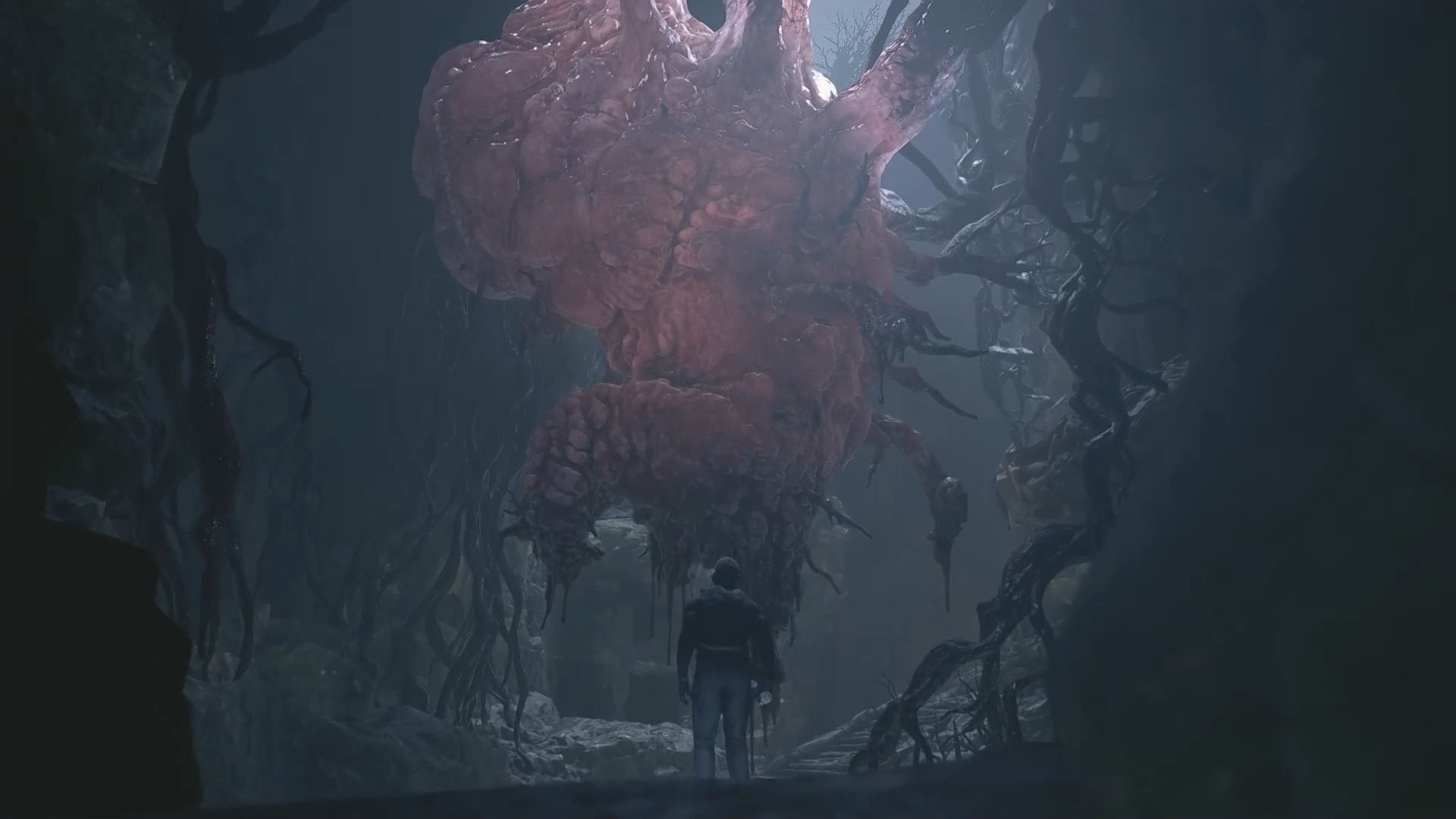 生化危机8,boss加强版巨型狼人,找到病毒源头菌主