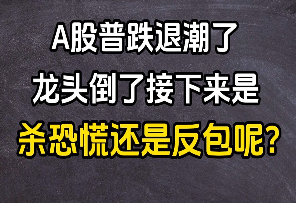 11.1收评:A股普跌退潮了,龙头倒了接下来是继续杀恐慌还是会有反包呢?哔哩哔哩bilibili