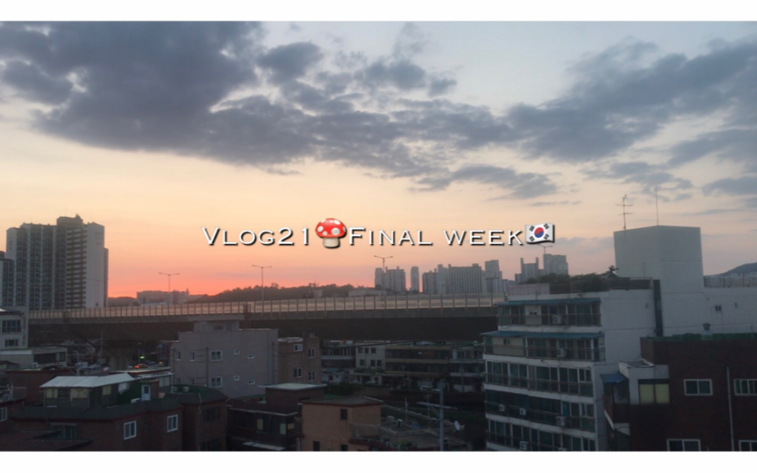 韩国vlog|韩国留学日常>>>弘大逛街/考试周的日常生活/韩国雪冰/麻辣香锅/回国哔哩哔哩bilibili