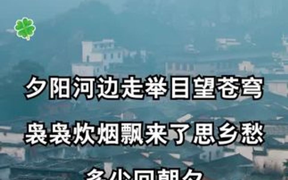 故乡容不下肉身,他乡容不下灵魂,若得一世安稳,谁愿颠沛流离哔哩哔哩bilibili