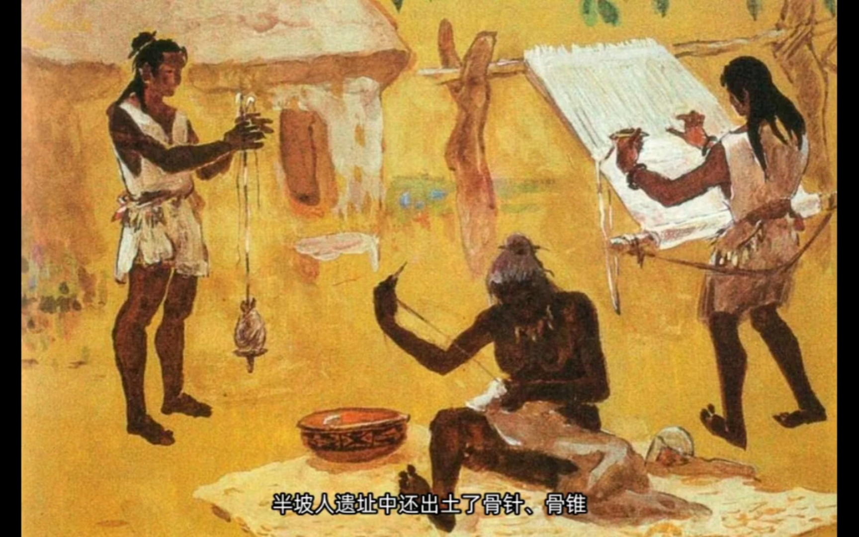 【原始农业】揭秘半坡人