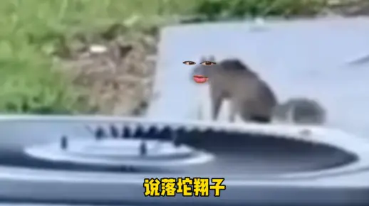 落坨翔子