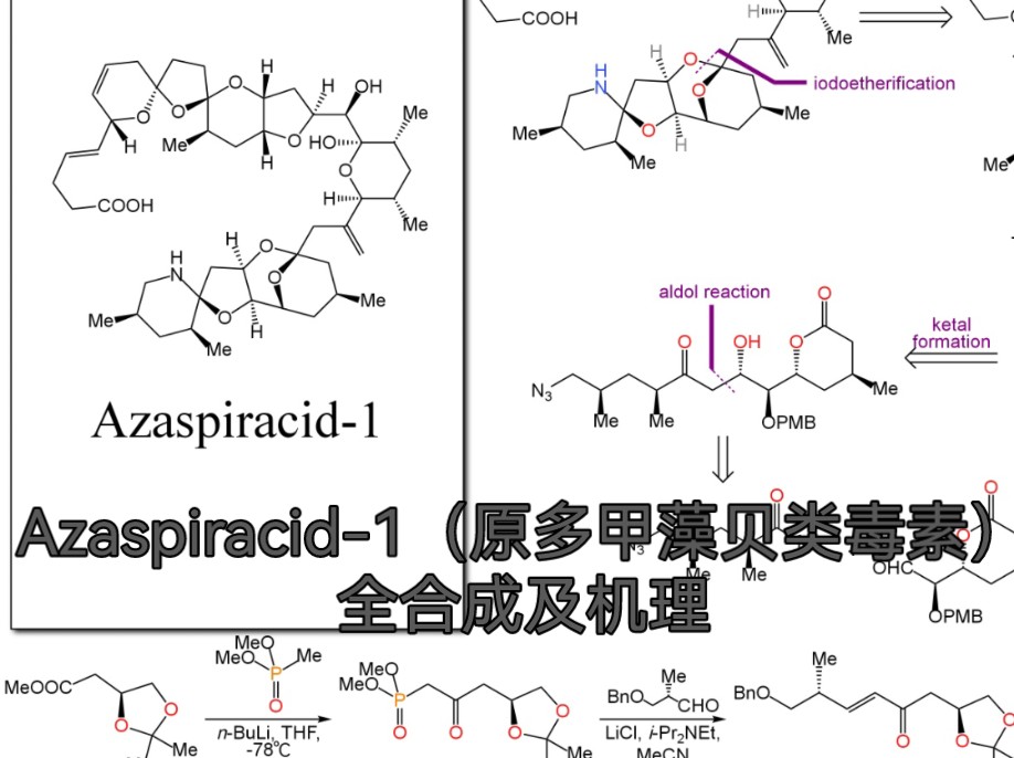 Azaspiracid1(原多甲藻贝类毒素)全合成及机理(K. C. Nicolaou 2004 2006)哔哩哔哩bilibili