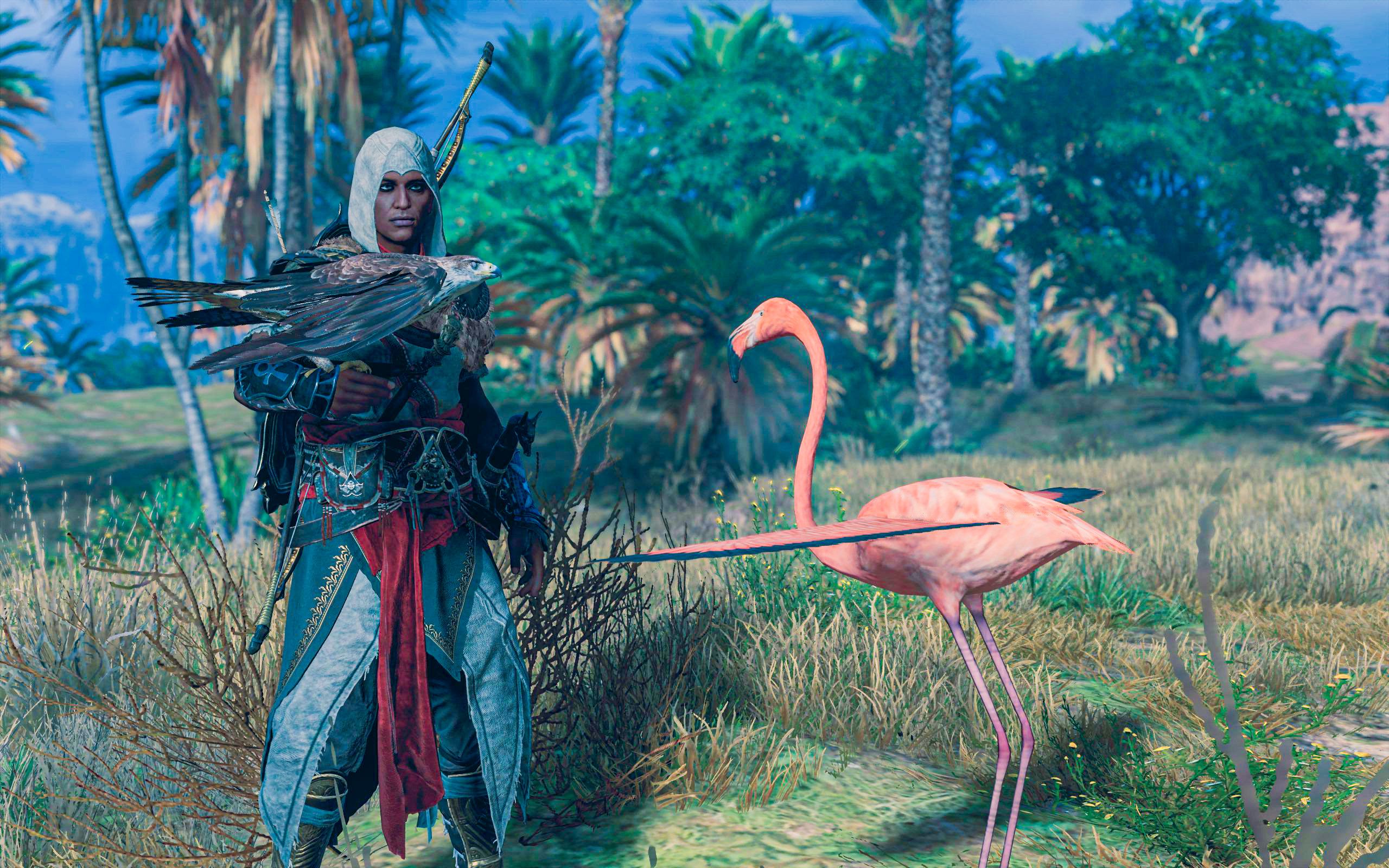 阿萨辛埃及精品旅游团之fla fla fla flamingo