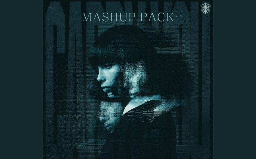 【mashup pack】martin garrix & third party - carry you(ft.