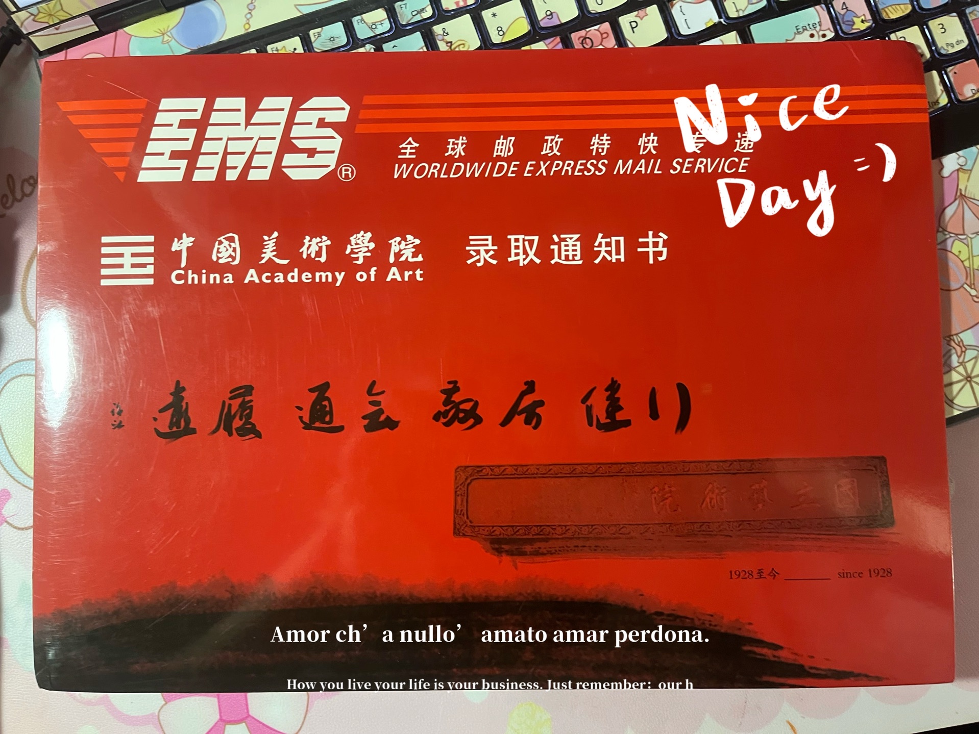 愤怒熊纪念收到国美录取通知书