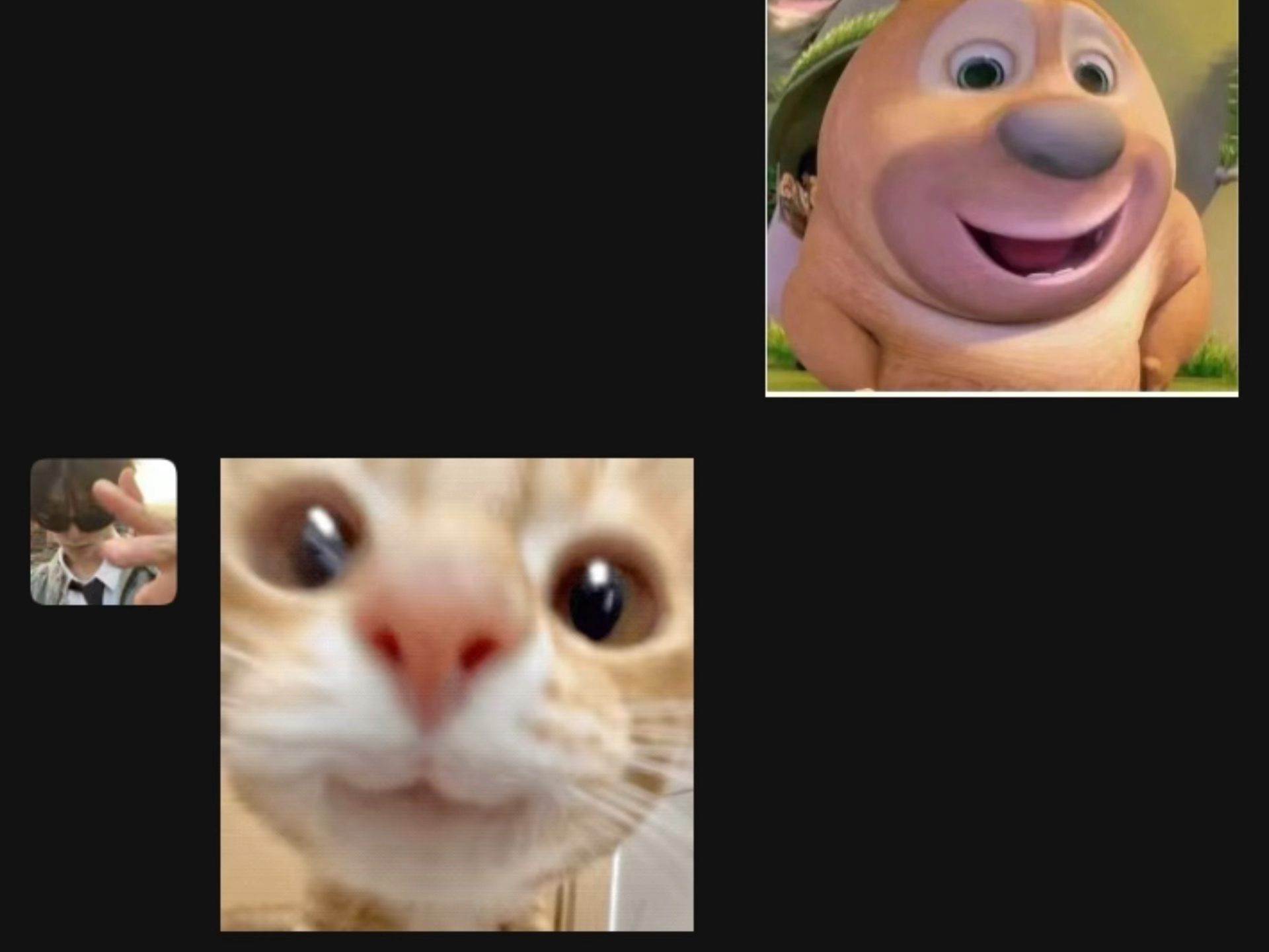 csgo纯手打接单,需要的dd,急,绿泡泡:tlmoljt