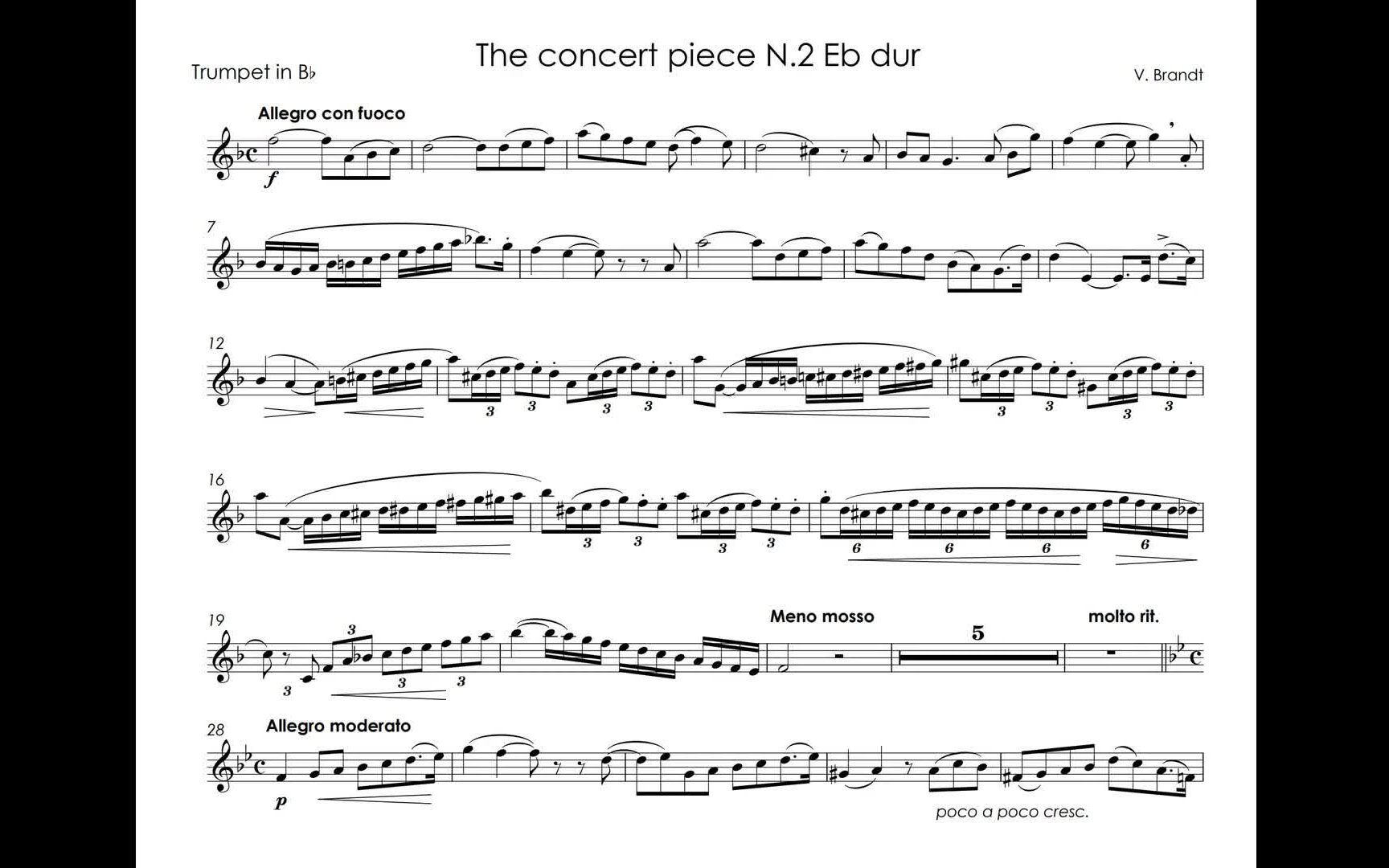 [图]【T.Dokshizer 】W.Brandt - The concert piece No.2