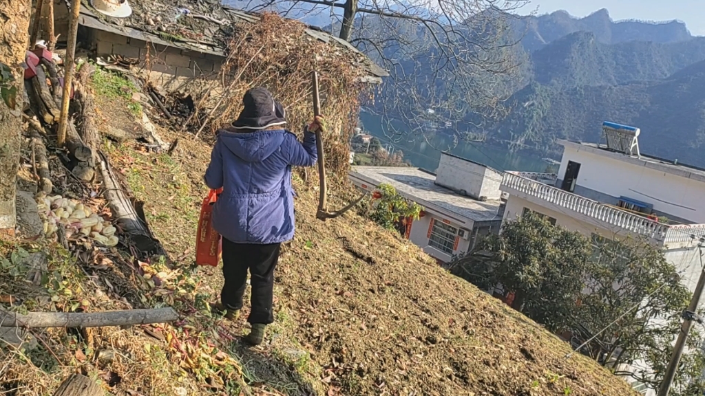但也意外惊喜,有温情,三餐四季有人陪伴,就是幸福的,现实生活里没有十