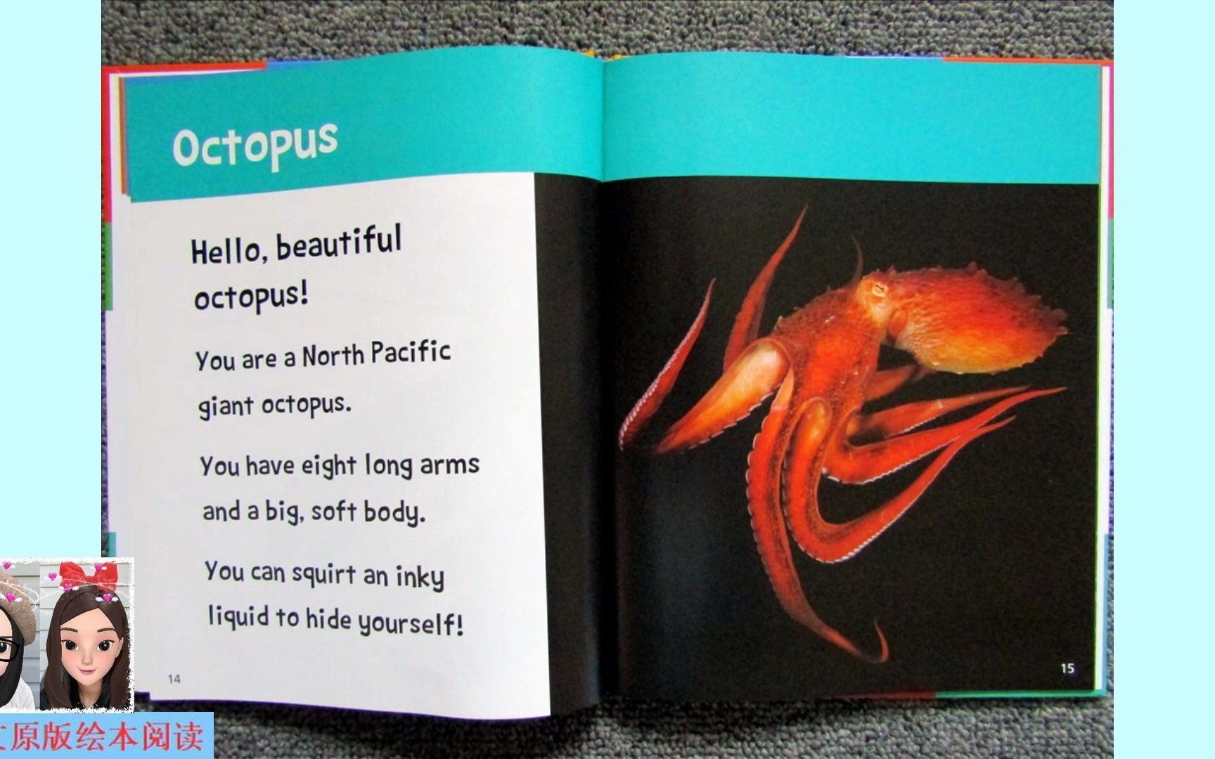 英文绘本阅读hellobeautifulwateranimalsoctopus你好美丽水生动物篇