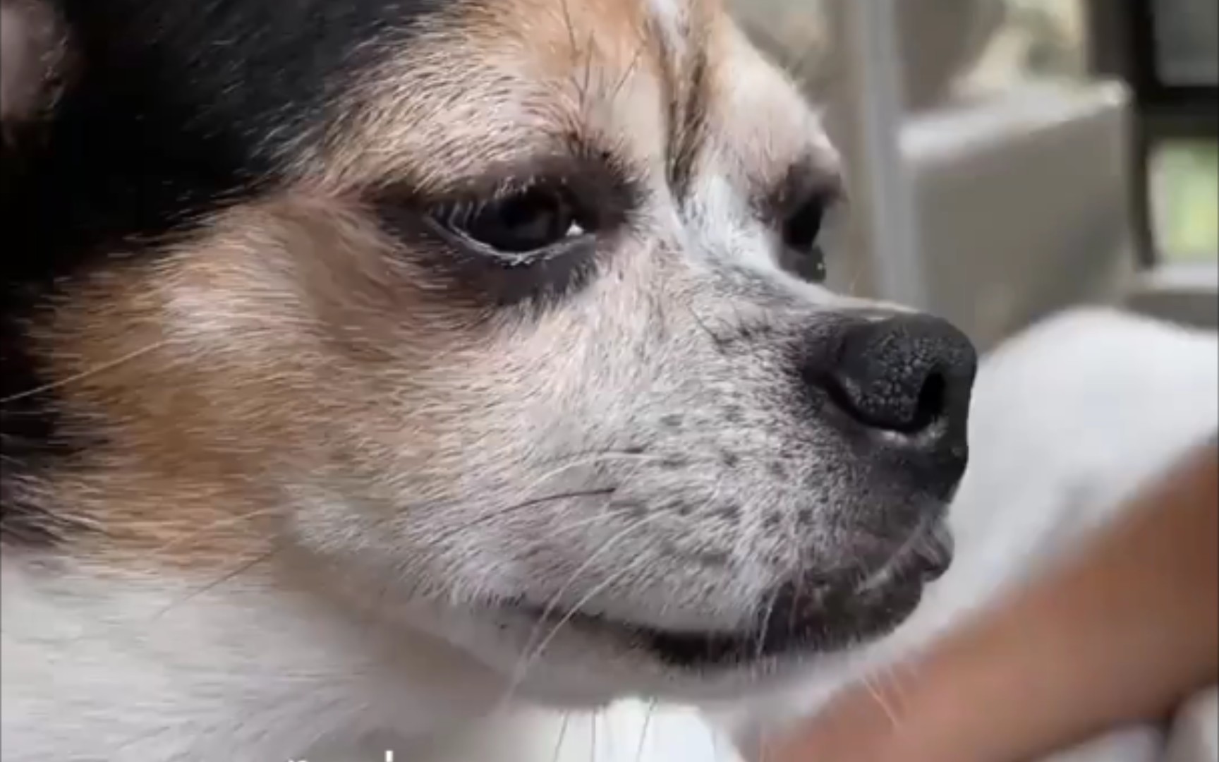 ep4,tiny哥看了都落泪哈哈哈哈哈哈