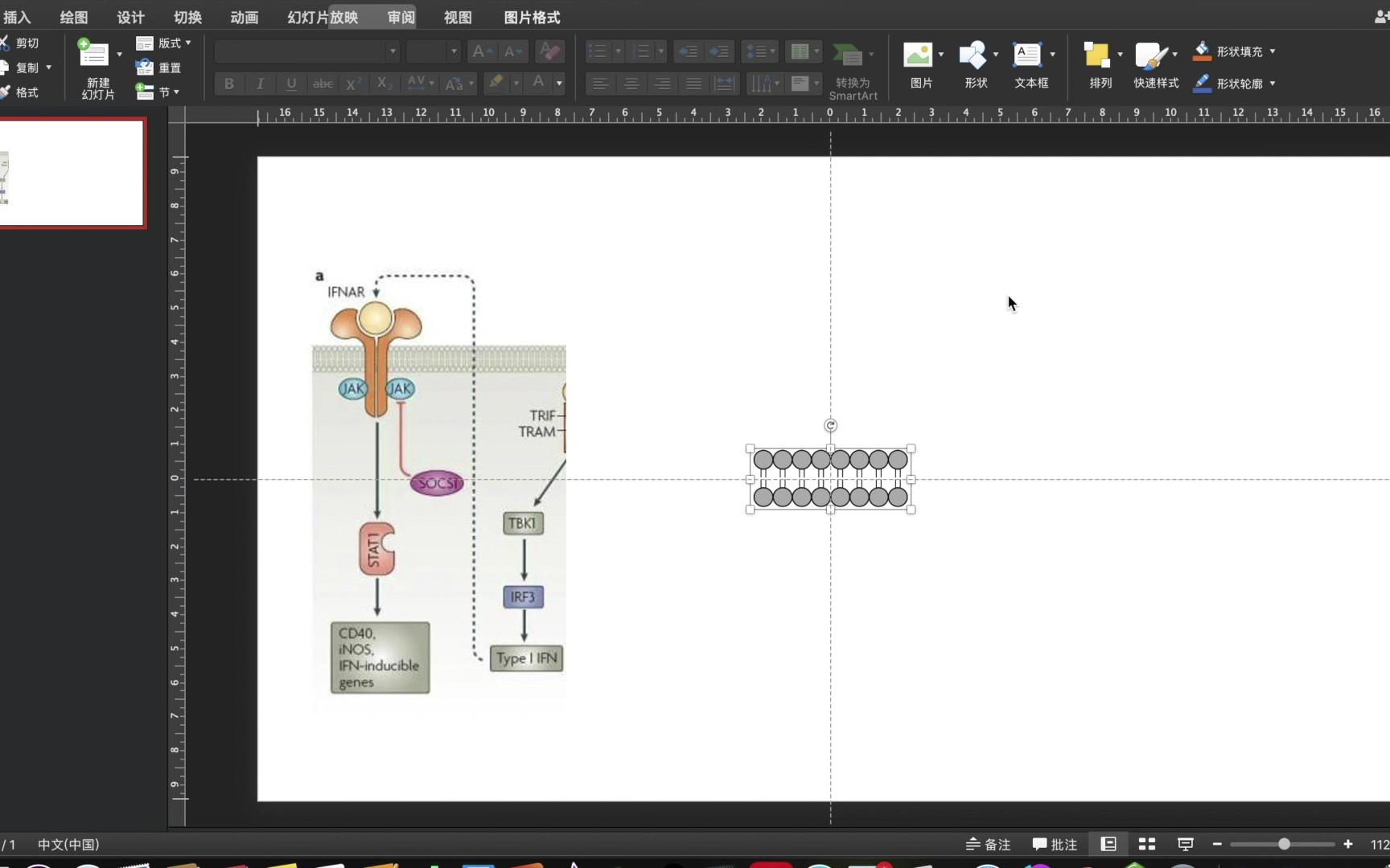 常用软件利用 PowerPoint 画信号通路图哔哩哔哩bilibili