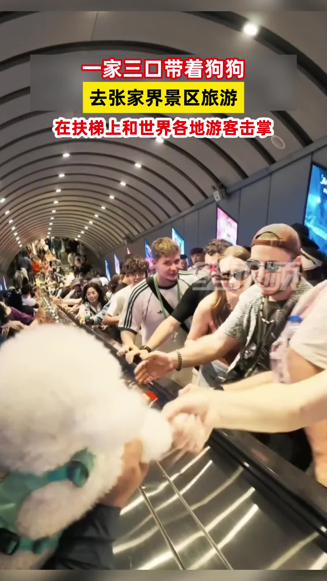 一家三口带着狗狗去张家界景区旅游，在扶梯上和世界各地游客击掌