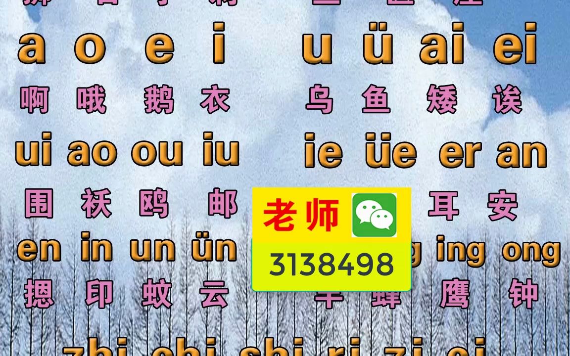 成人零基礎拼音打字入門教程學好漢語拼音聲母和韻母講解