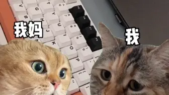 当我妈问我键盘多少钱时