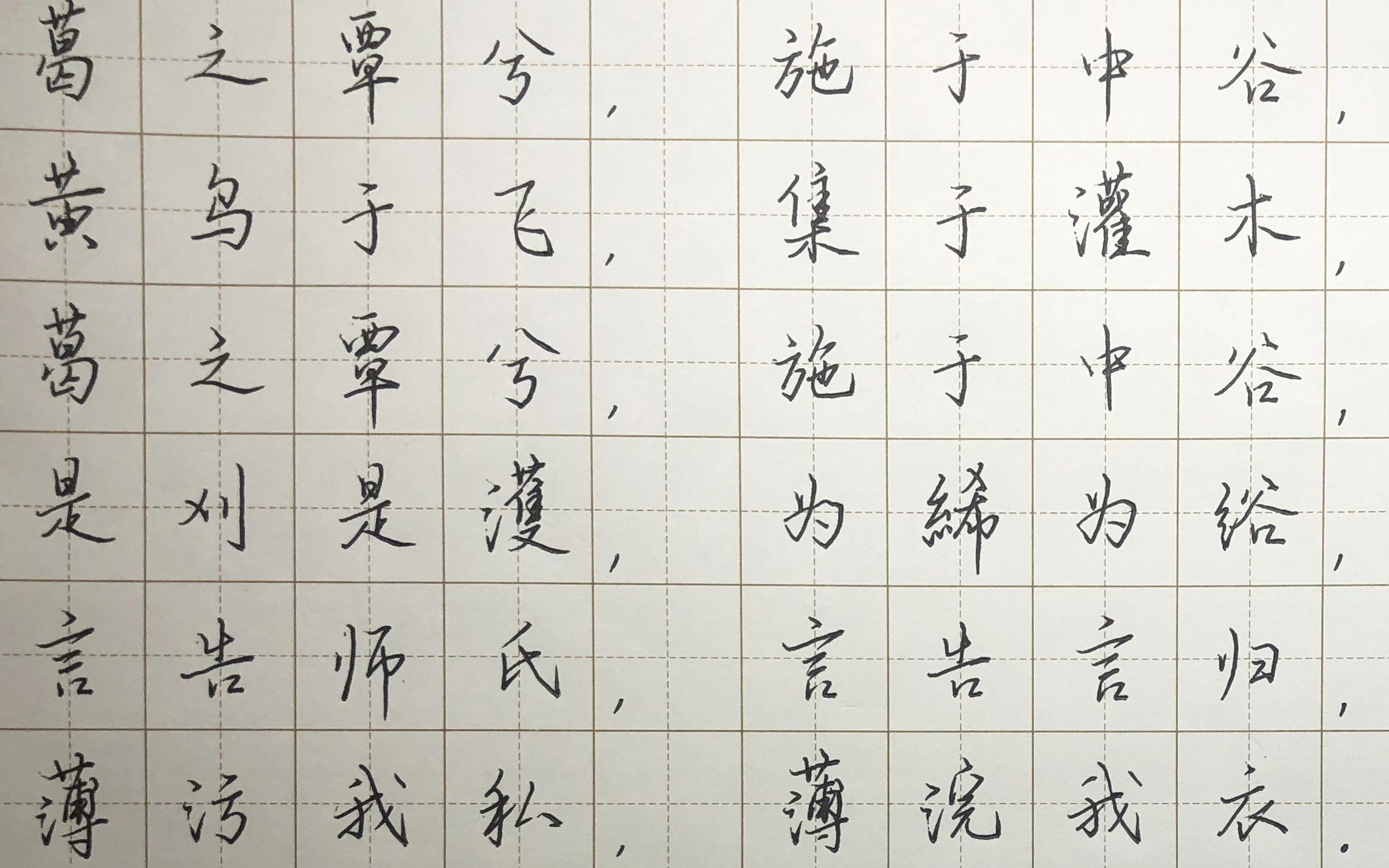 [图]练字专辑——周老师抄《诗经》 002 国风 周南 葛覃