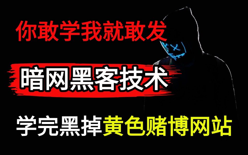 【从入门到入狱】1000集暗网黑客技术教程,只要你敢学我就敢发!学完黑掉黄色赌博网站哔哩哔哩bilibili