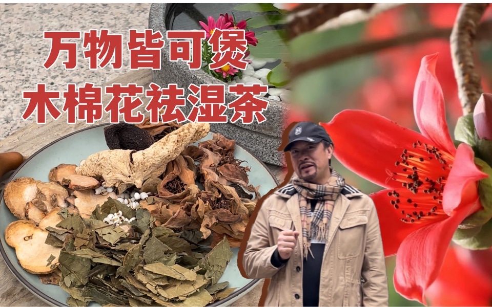 万物皆可煲|木棉花祛湿茶