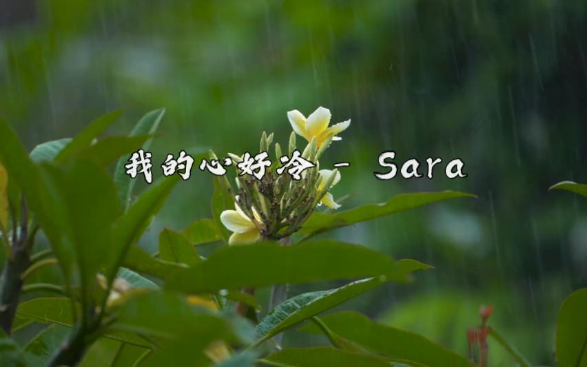 [图]【那些年存在MP3里歌】我的心好冷 - Sara