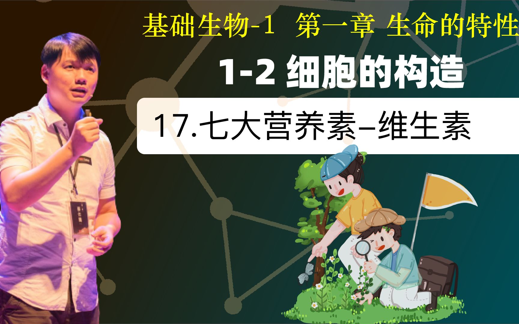 基础生物学 1.2.17 七大营养素维生素哔哩哔哩bilibili