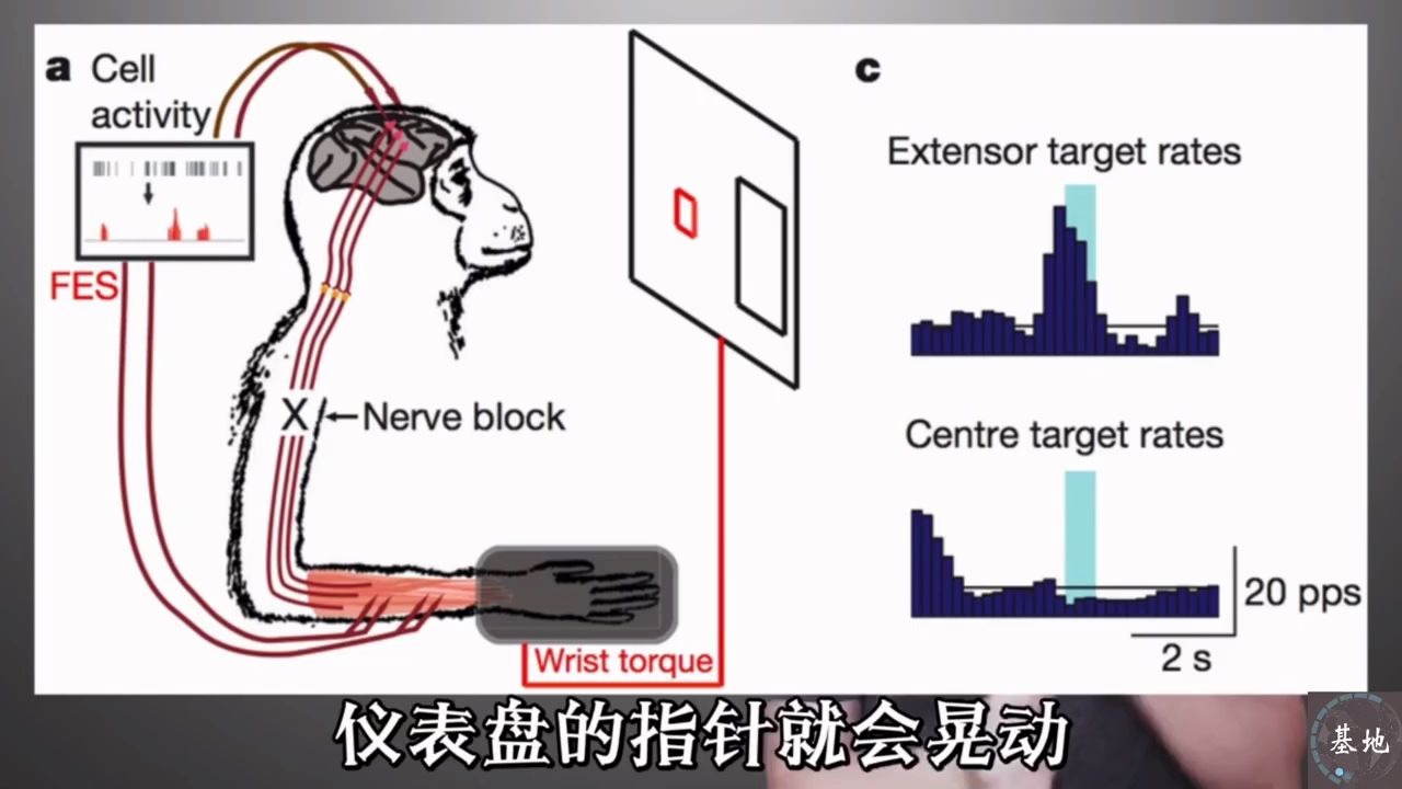 第9集脑机接口，机甲未来的起点__Neuralink__基地__前沿科技__马斯克__ElonMusk_哔哩哔哩_bilibili