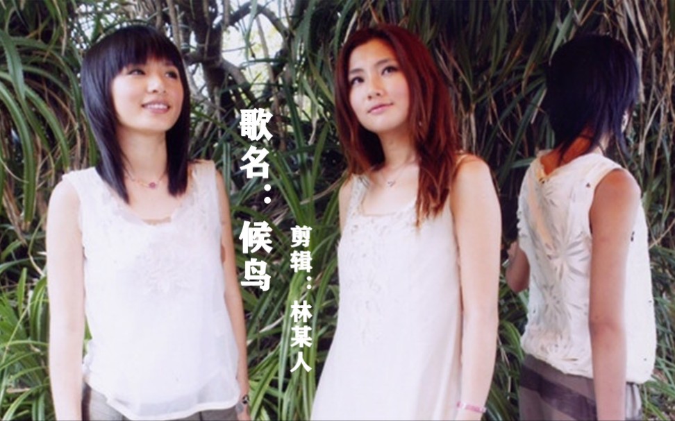 音乐现场she候鸟selinahebeellashe专辑encore女子组合