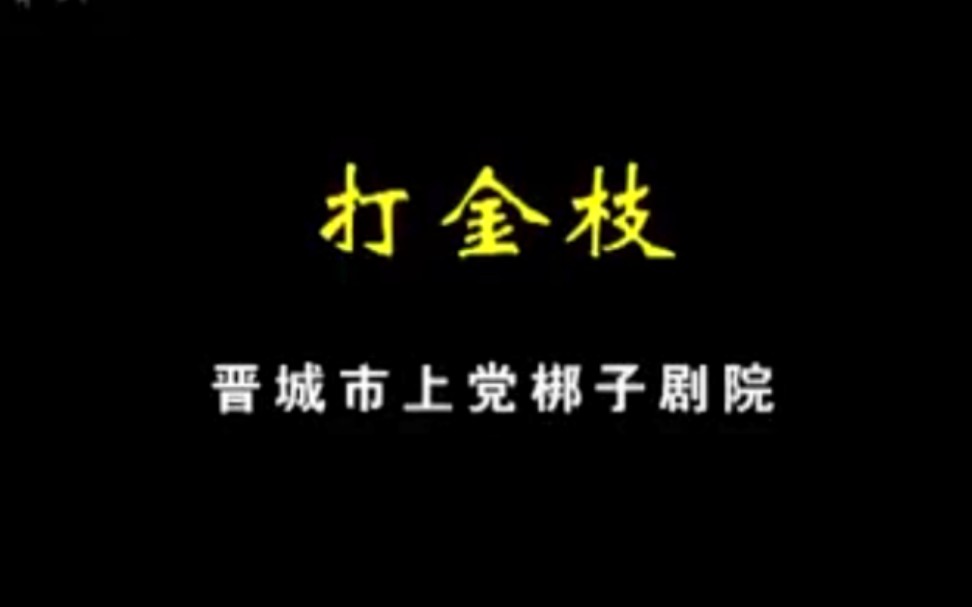 【名剧欣赏】上党二黄 打金枝全剧 晋城市上党梆子剧院演出哔哩哔哩bilibili