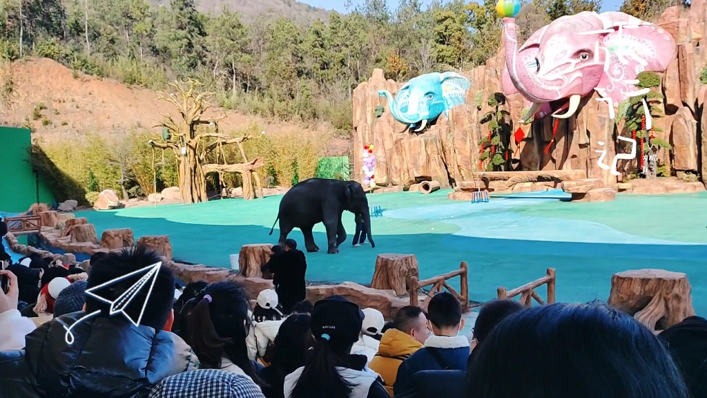 龙之梦动物园大象表演