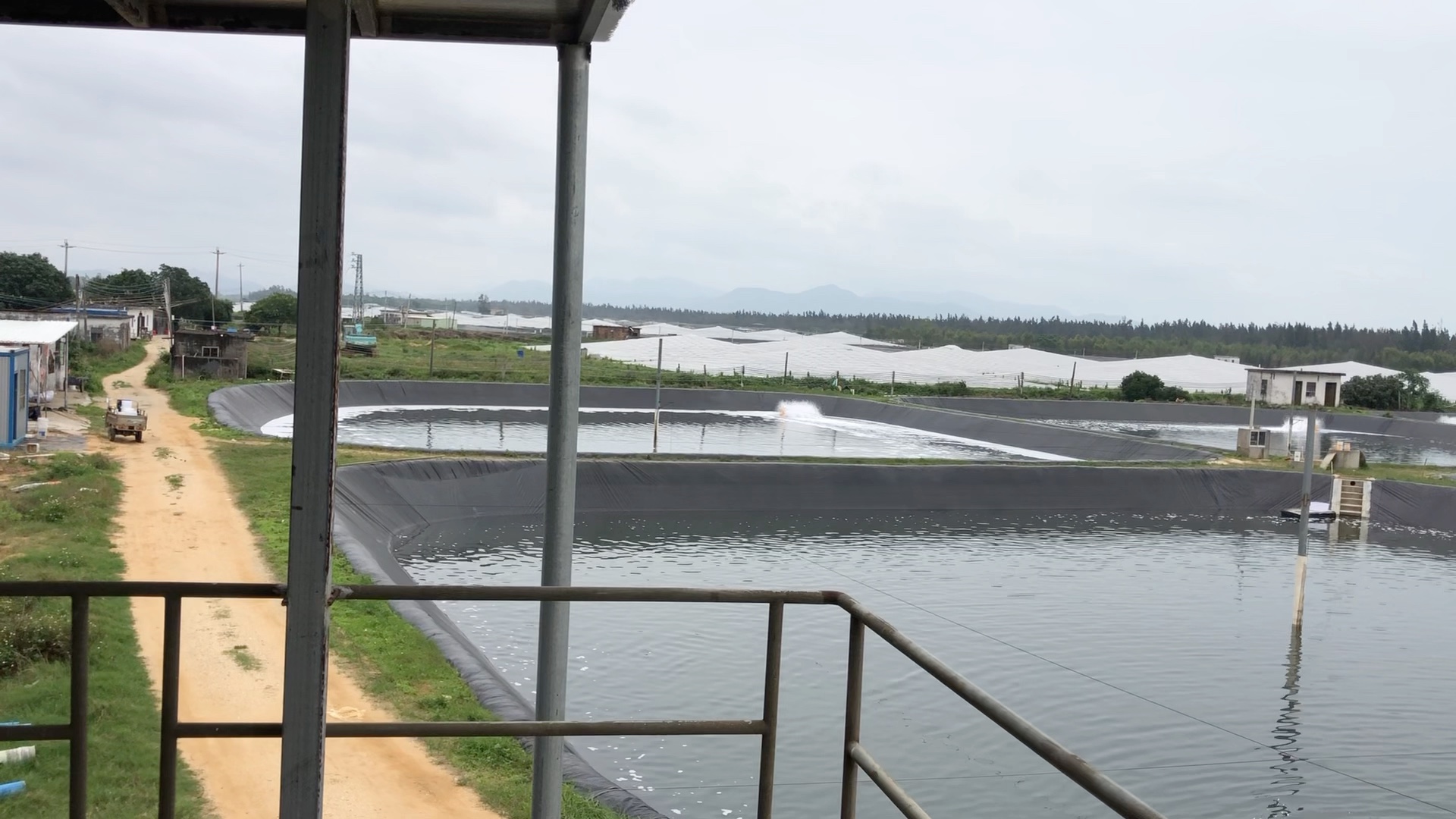 高位池养虾日常