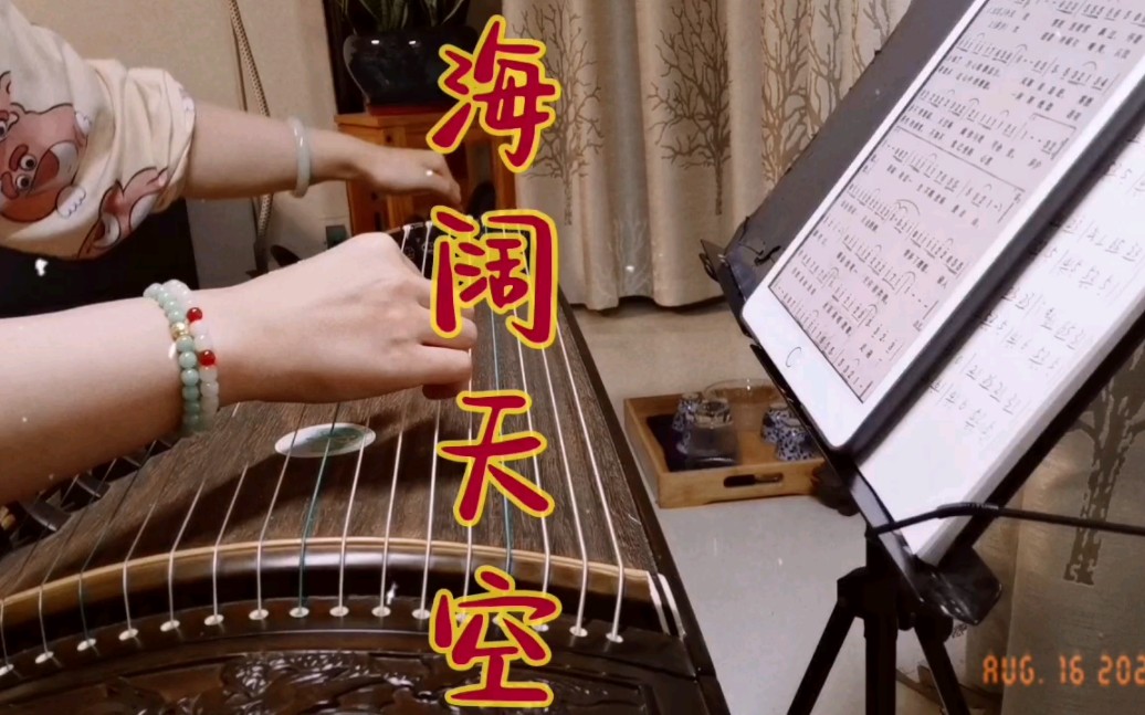 【古筝】《海阔天空》 黄家驹