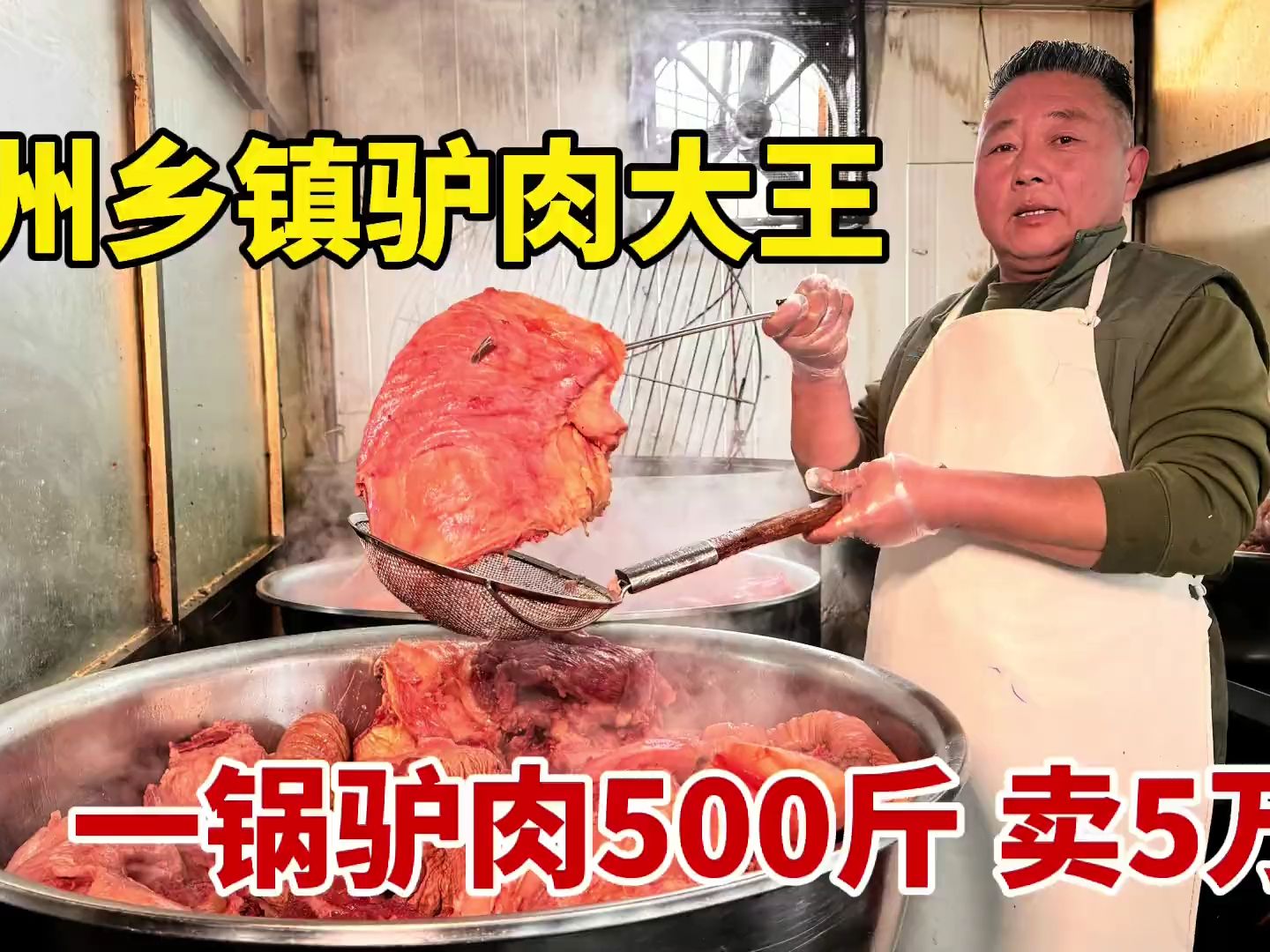 江苏徐州乡镇驴肉大王,一天卤驴肉500斤,一锅能卖5万块,太办肆哔哩哔哩bilibili