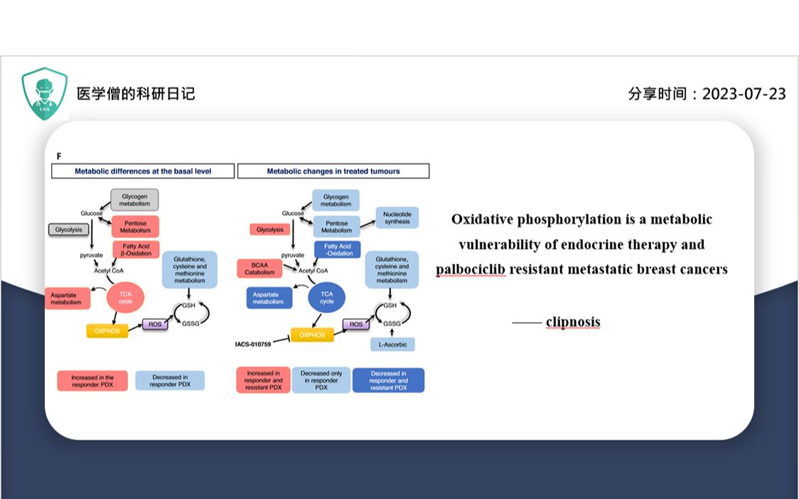 氧化磷酸化是内分泌治疗和帕昔单抗耐药转移性乳腺癌的代谢脆弱性哔哩哔哩bilibili