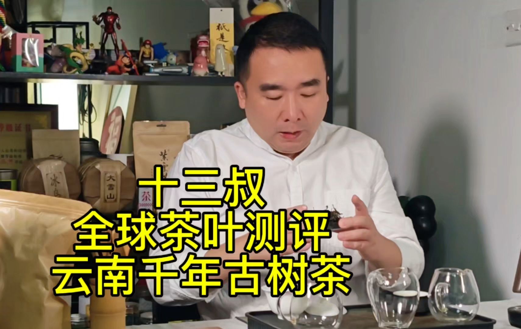 十三叔全球茶叶测评云南千年古树茶