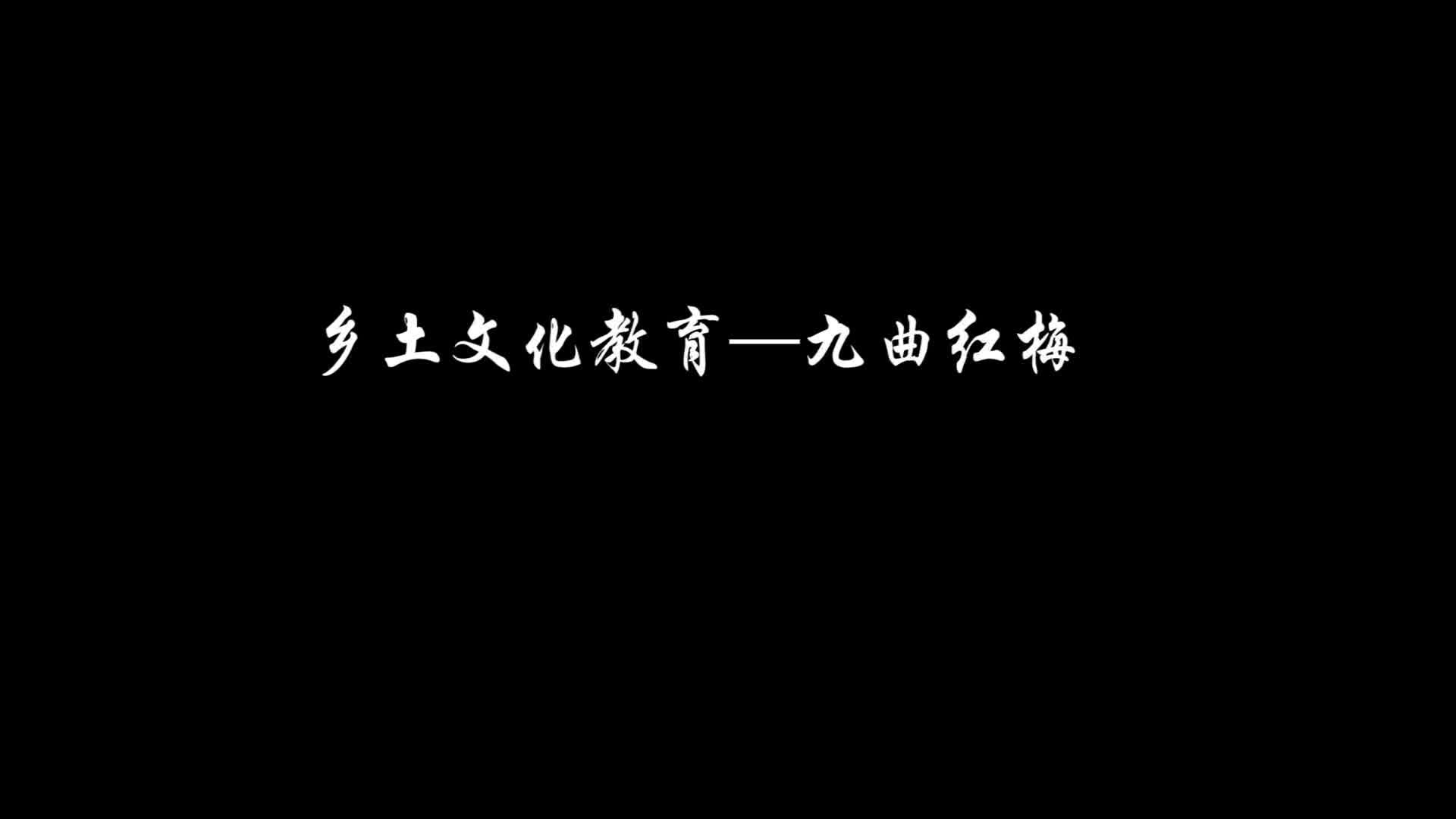 九曲红梅微课堂九曲红梅的历史哔哩哔哩bilibili