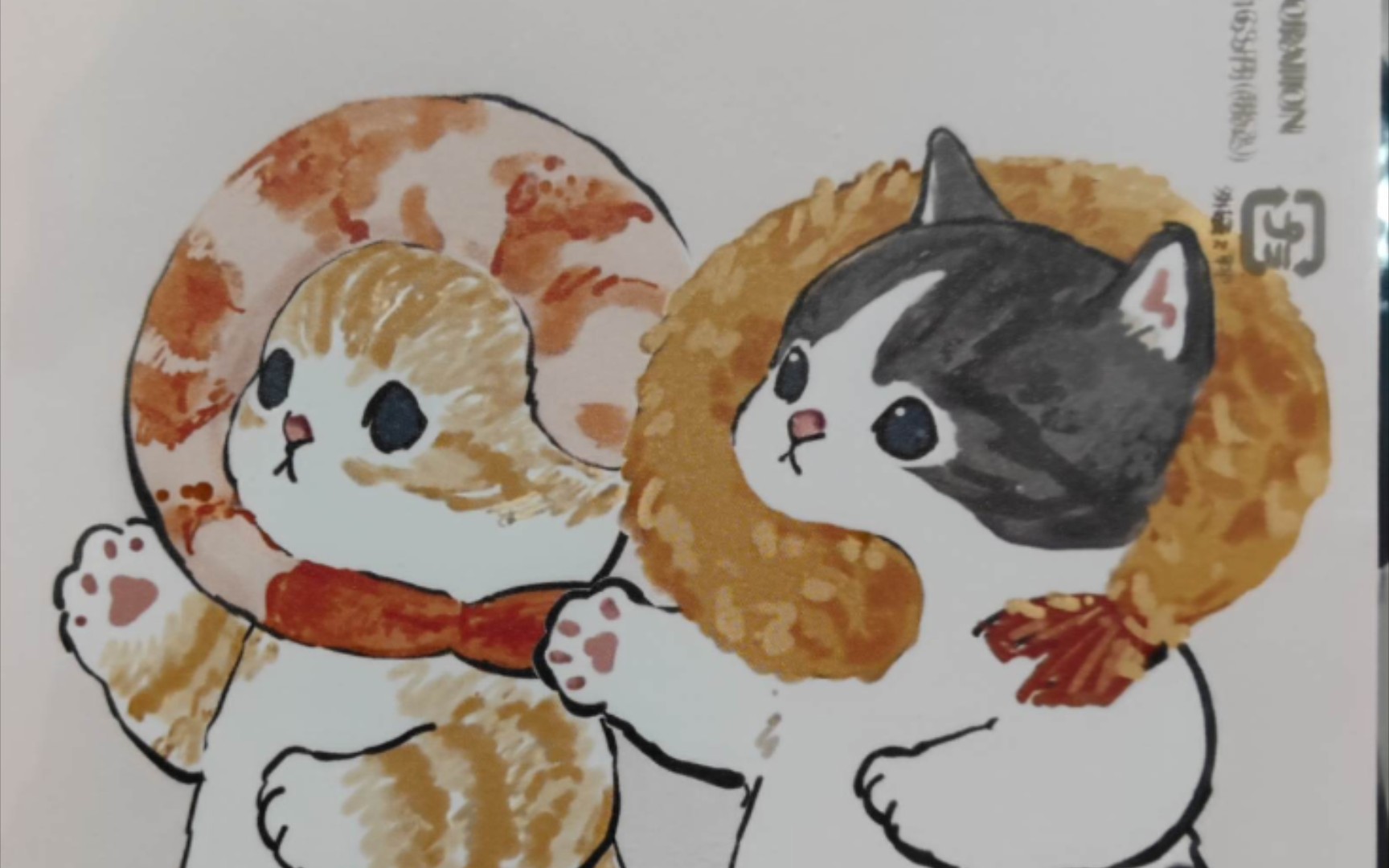 周末在家没事逗逗猫