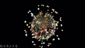 18秋田大曲全国秋田大曲全国花火競技大会競技大会8 25 哔哩哔哩 つロ干杯 Bilibili