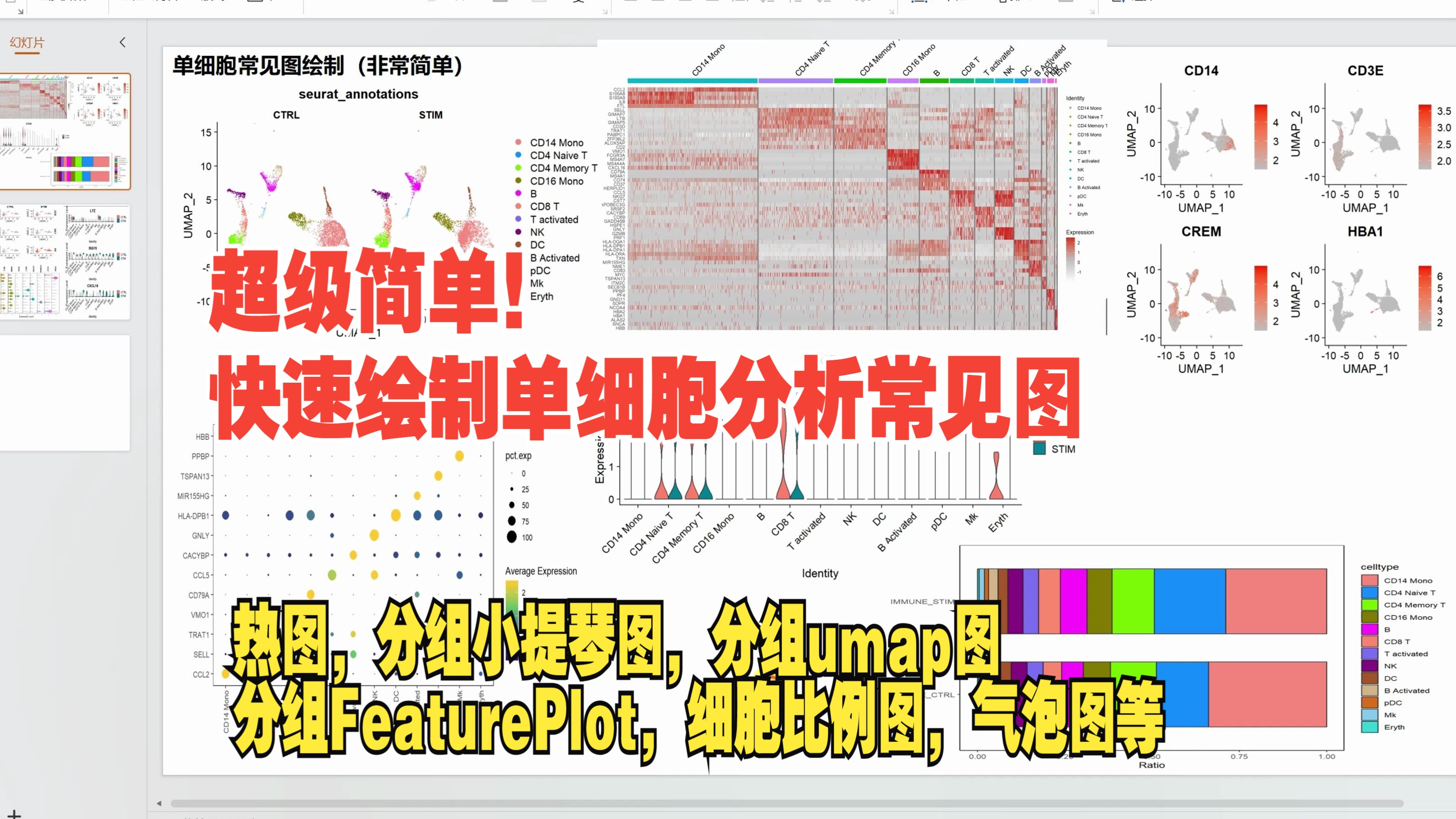 代码超简单!单细胞分析常见图(热图,分组小提琴图,分组umap图,分组FeaturePlot,细胞比例图,气泡图等)哔哩哔哩bilibili