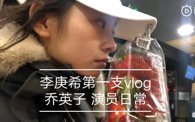 【李庚希vlog】小欢喜中的乔英子的欧洲之旅哔哩哔哩bilibili