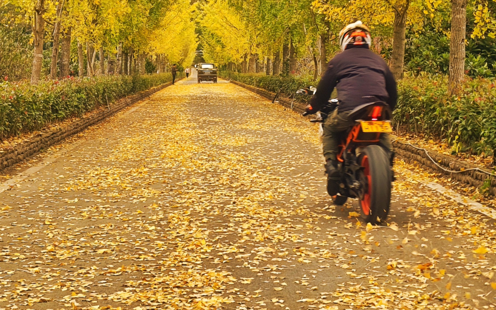 [图]人生如戏，学会看淡，不要顾虑别人的看法，否则，人累心更累，过了30就是人生的下半场，比的是健康是心态！