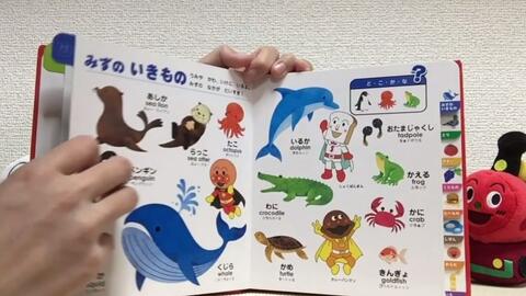 上部分アンパンマン　はじめてのことばえほんわくわく やなせたかし　絵本読み聞かせ　1歳　2歳　3歳向け　言葉の勉強　知育　ゲーム　 わくわくstudyチャンネル
