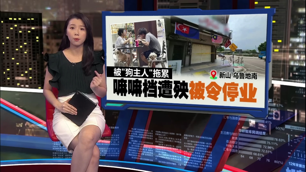 马来西亚华裔女子因违反餐厅禁止携带宠物犬进入的规定遭到谴责