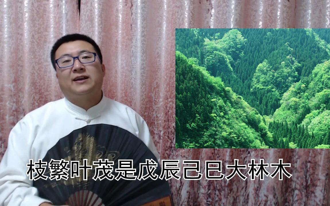 [图]应天玄学：木属性纳音五行